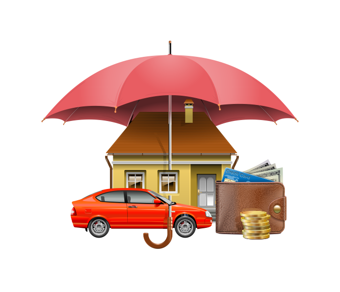 Insurance in Naranpar